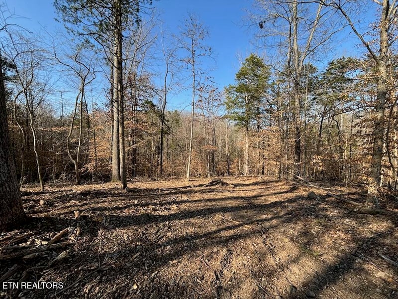 0 Dogwood Valley Rd | Lot 3, Kingston, TN 37763